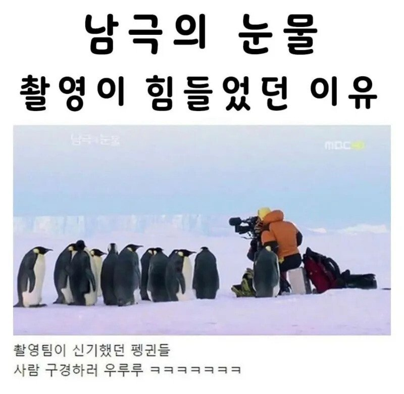 7c96f8b4a671e6b404b7bd2f02059f87_1748153303_6571.png