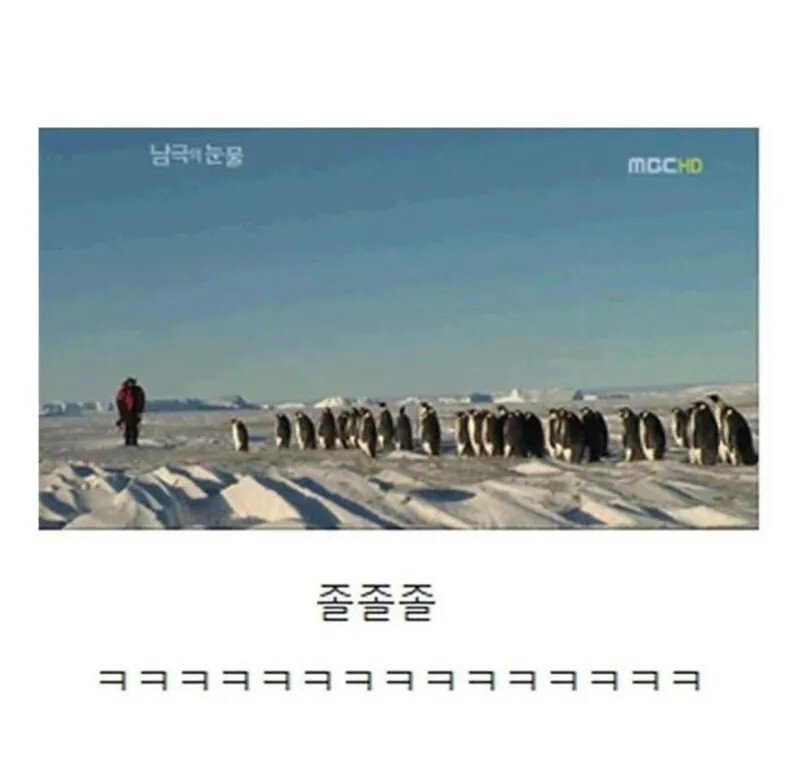7c96f8b4a671e6b404b7bd2f02059f87_1748153311_3524.png