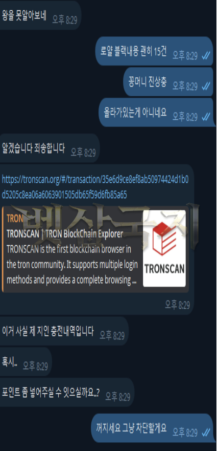 c29e333bcb3ce0dff29d8d6387372446_1748691526_3969.jpg