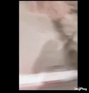 c6acc68a8c4978b3c20f5404f35ebf84_1746073587_6744.gif