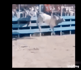c6acc68a8c4978b3c20f5404f35ebf84_1746074016_5744.gif