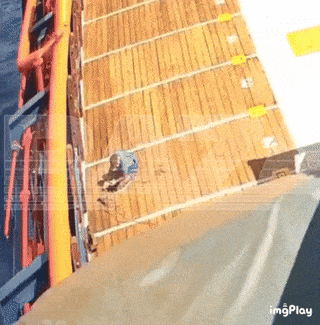 c6acc68a8c4978b3c20f5404f35ebf84_1746075269_7184.gif