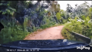 c6acc68a8c4978b3c20f5404f35ebf84_1746076365_8697.gif