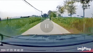 c6acc68a8c4978b3c20f5404f35ebf84_1746076369_0129.gif