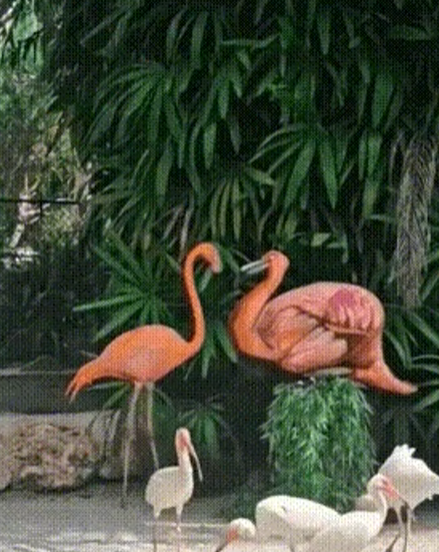 0fac5fc3e25d83c9e328d288aa27589e_1748926244_7029.png