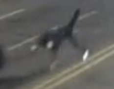 8e4f12e09e6ca58ba4b634171e0da864_1750734236_4638.PNG