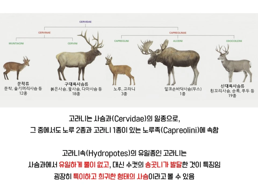 2691c0ade94e6aeb80a442f51f5a14f4_1750494889_8155.png