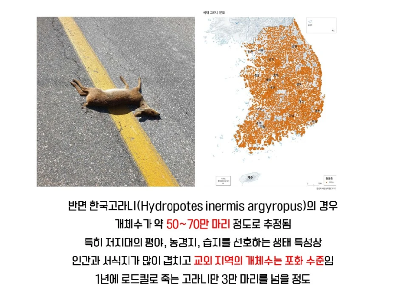 2691c0ade94e6aeb80a442f51f5a14f4_1750494962_3375.png