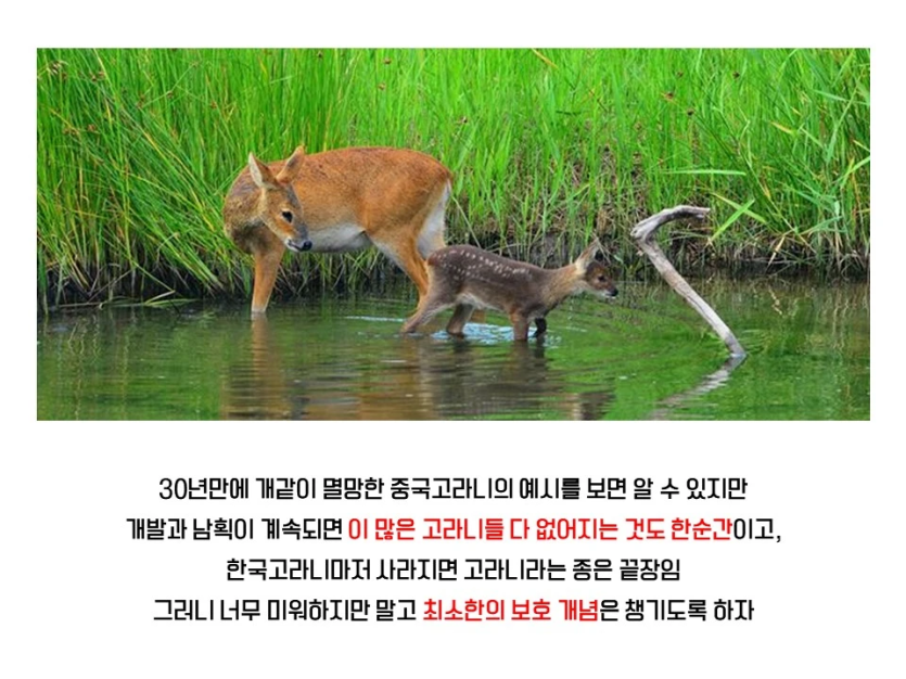 2691c0ade94e6aeb80a442f51f5a14f4_1750495004_4178.png
