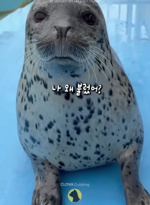 2e8f801198a660100c292e550a39b3be_1751776031_3283.png