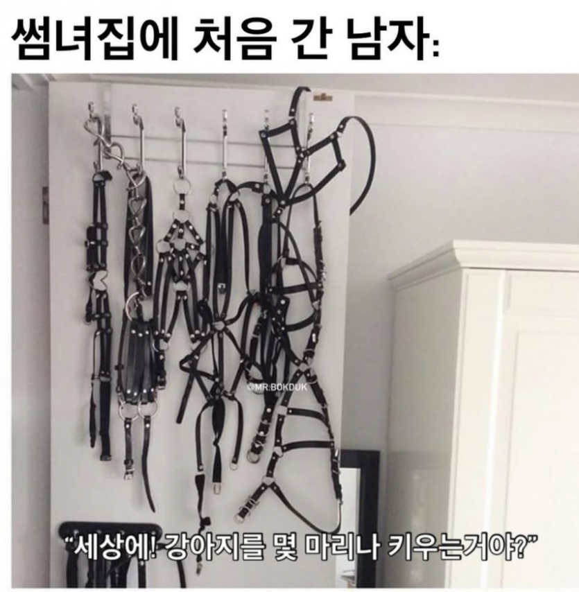 cf172d6f9becf6bb9feda57c94f2a45c_1752565882_1738.png