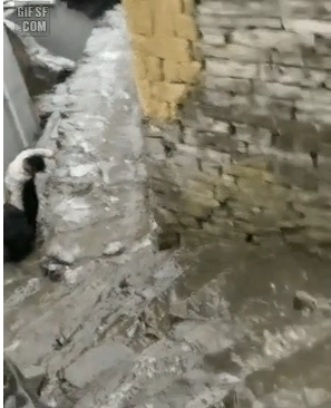 2d337c83fa5f0072f9930e01aac4947d_1757210598_7738.png